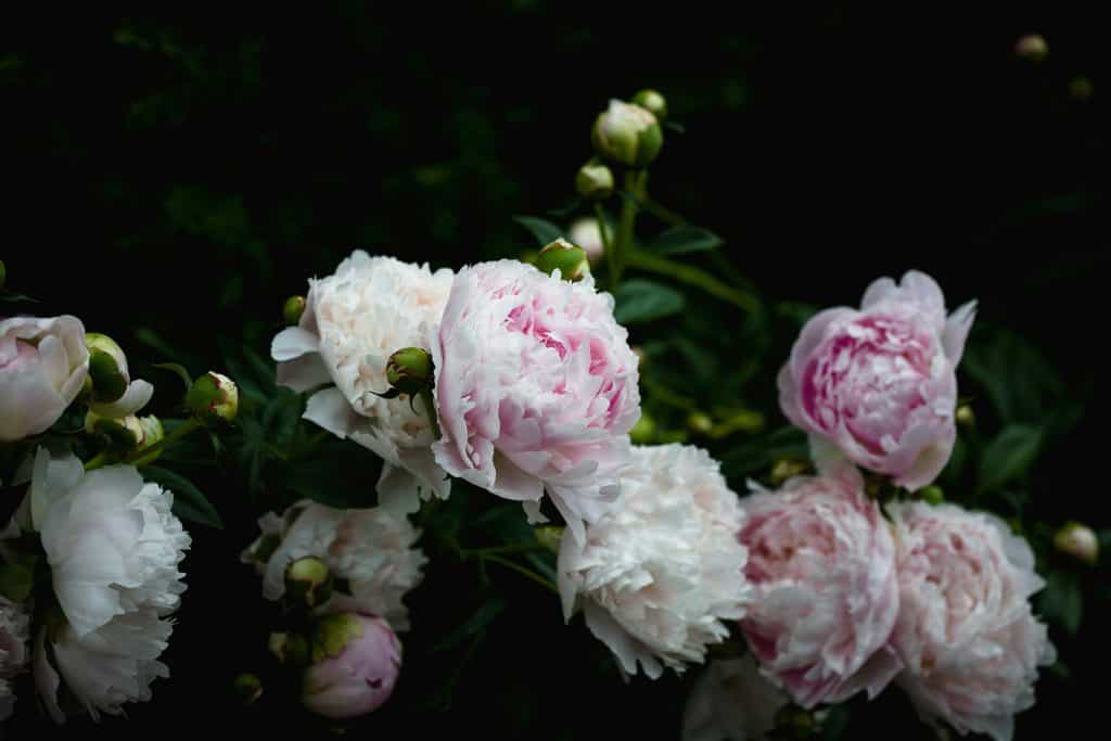 maria dbtdaw5ibey unsplash maria dbtdaw5ibey unsplash