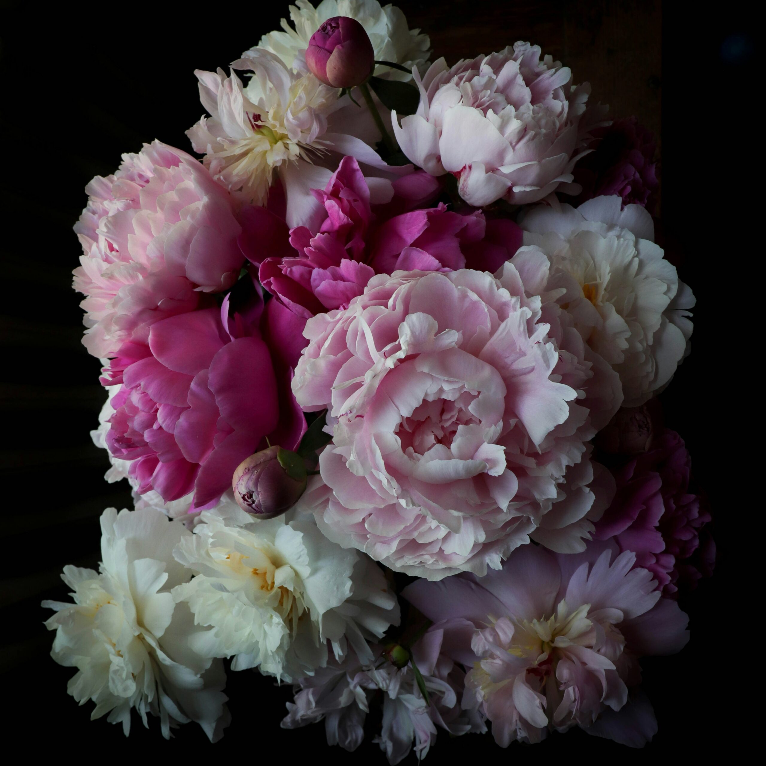 marites allen lrq5i oay q unsplash